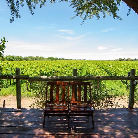 Upington African Vineyard Boutique Hotel & Spa Keimoes Eksteriør bilde