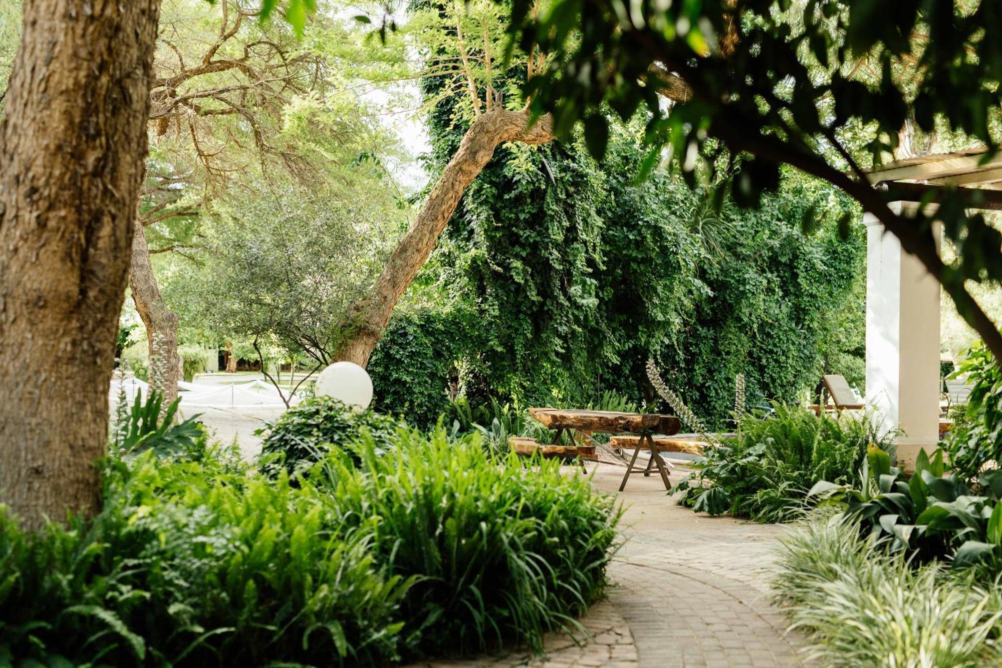 Upington African Vineyard Boutique Hotel & Spa Keimoes Eksteriør bilde