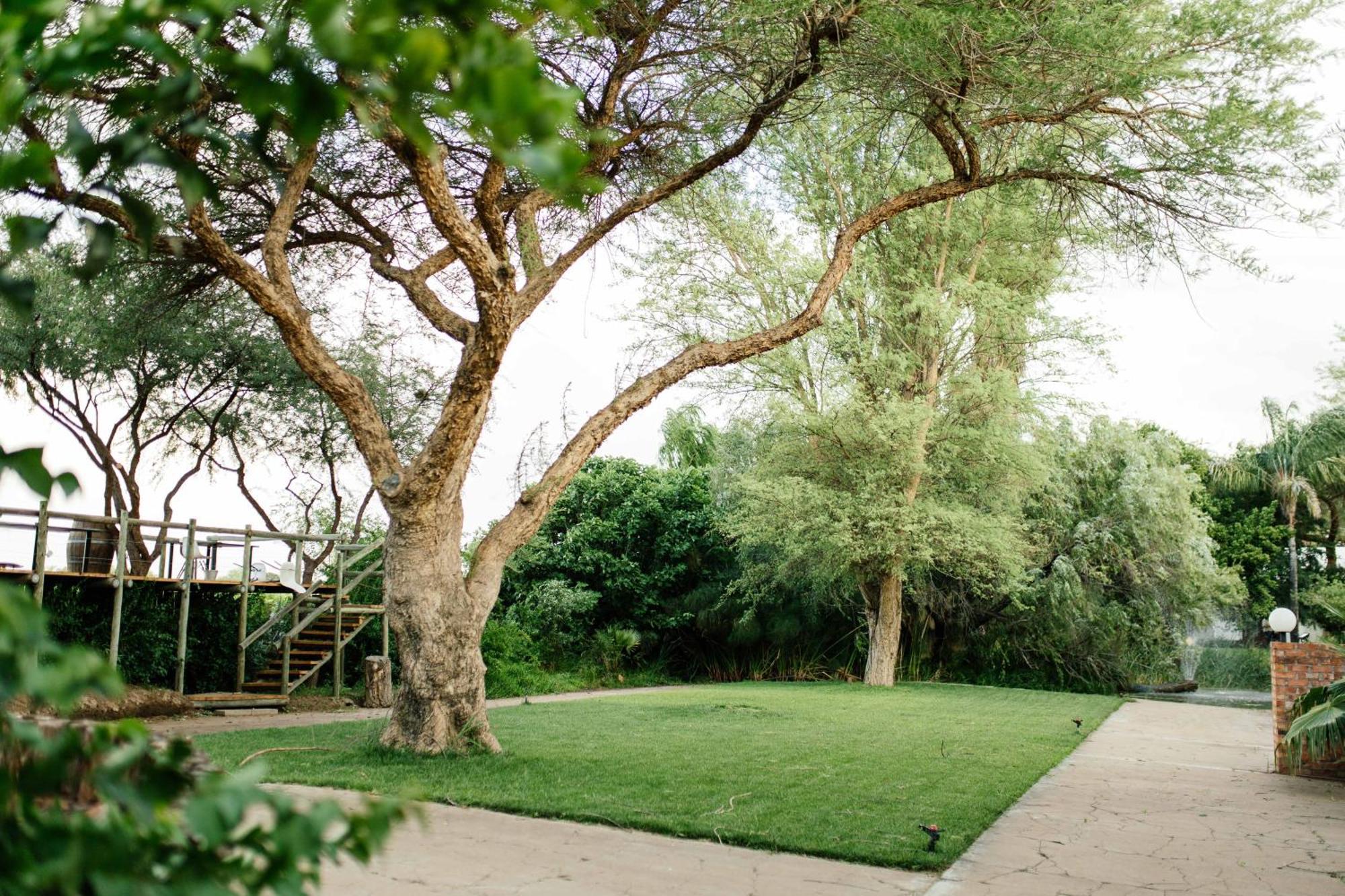 Upington African Vineyard Boutique Hotel & Spa Keimoes Eksteriør bilde