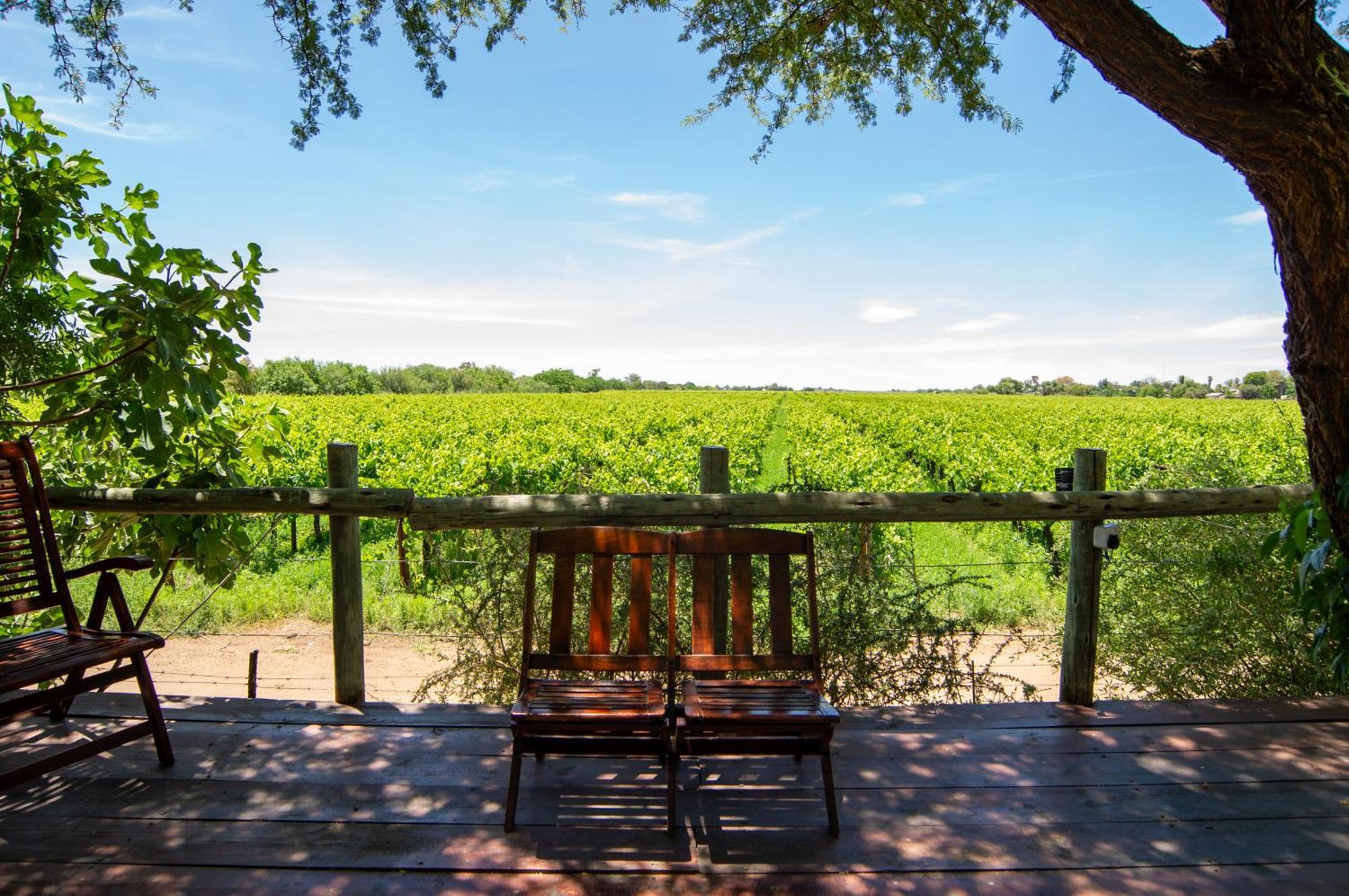 Upington African Vineyard Boutique Hotel & Spa Keimoes Eksteriør bilde